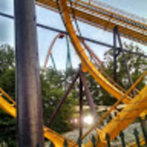 Meet your Posher, Brandon